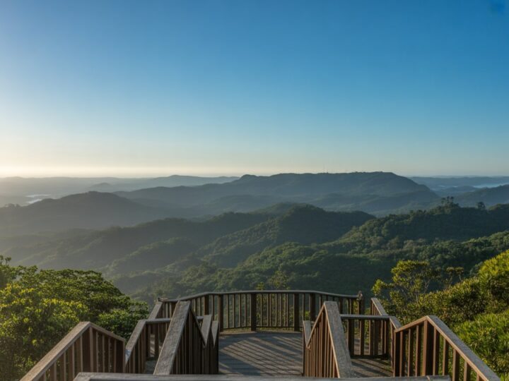 Mirante do Pasmado: Guia Completo para Visitar e Aproveitar a Vista Deslumbrante