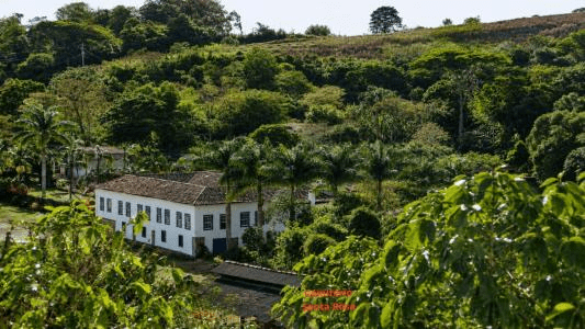 Vale do Café: Por que Ipiabas é o destino que você precisa conhecer na sua próxima viagem