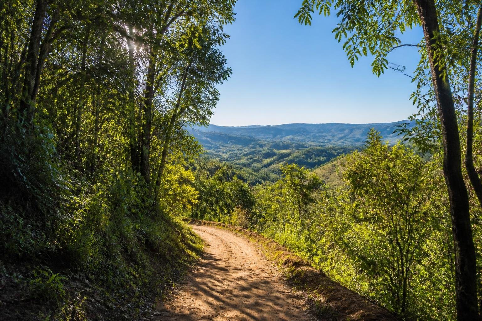 Trilha cercada por vegetação verde e árvores no interior de São Paulo, com colinas ao fundo sob céu azul.