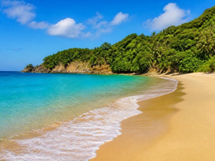 Praia do Félix: O Paraíso Escondido em Ubatuba para Explorar