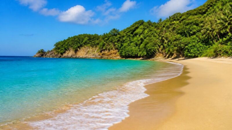 Praia do Félix: O Paraíso Escondido em Ubatuba para Explorar